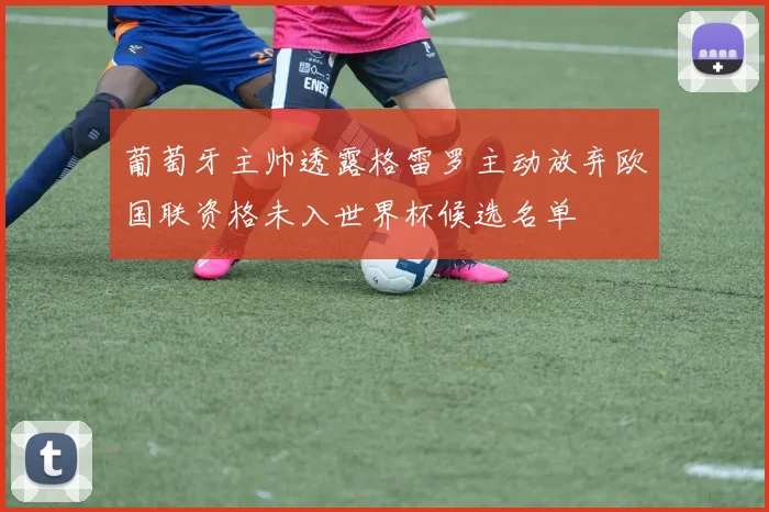 葡萄牙主帅透露格雷罗主动放弃欧国联资格未入世界杯候选名单