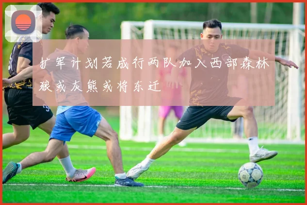 扩军计划若成行两队加入西部森林狼或灰熊或将东迁